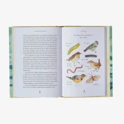 Literature-Patagonia A Temporary Refuge: Fourteen Seasons with Wild Summer Steelhead by Lee Spencer None