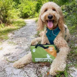 Pets|Health & Safety-Adventure Medical Kits Adventure Dog Medical Kit