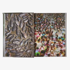 Literature-Patagonia Four Fifths a Grizzly: A New Perspective on Nature that Just Might Save Us All (by Douglas Chadwick) None