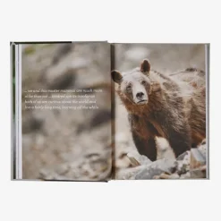 Literature-Patagonia Four Fifths a Grizzly: A New Perspective on Nature that Just Might Save Us All (by Douglas Chadwick) None
