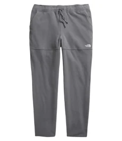 Pants-The North Face Glacier Fleece Pant for Men