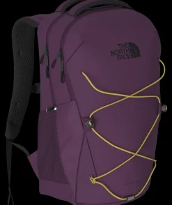 Daypacks-The North Face Jester Backpack