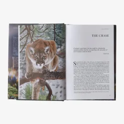 Literature-Patagonia Path of the Puma: The Remarkable Resilience of the Mountain Lion by Jim Williams None