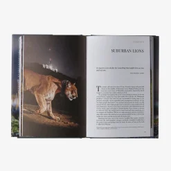 Literature-Patagonia Path of the Puma: The Remarkable Resilience of the Mountain Lion by Jim Williams None