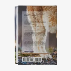 Literature-Patagonia Path of the Puma: The Remarkable Resilience of the Mountain Lion by Jim Williams None