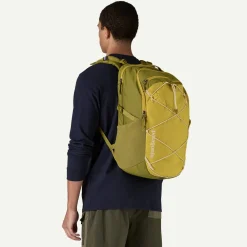 Daypacks-Patagonia Refugio Daypack 30L