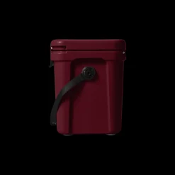 Coolers-Yeti Roadie 24
