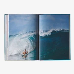 Literature-Patagonia Swell: A Sailing Surfer's Voyage of Awakening by Captain Liz Clark