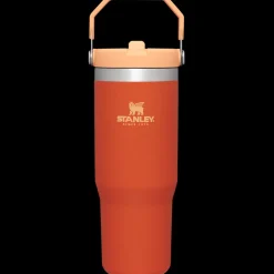 Bottles & Mugs-Stanley The IceFlow Flip Straw Tumbler - 30oz