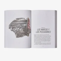 Literature-Patagonia The Voyage of the Cormorant: A Memoir of the Changeable Sea by Christian Beamish