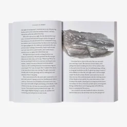 Literature-Patagonia The Voyage of the Cormorant: A Memoir of the Changeable Sea by Christian Beamish